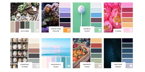 Color Palette Inspiration